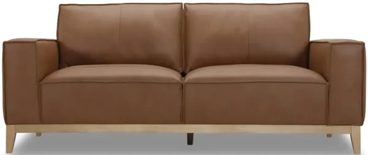 Camdon Leather Loveseat