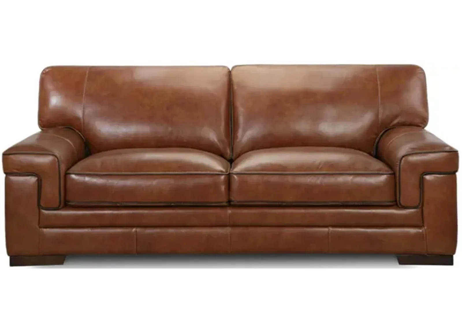 Bauer Leather Sofa