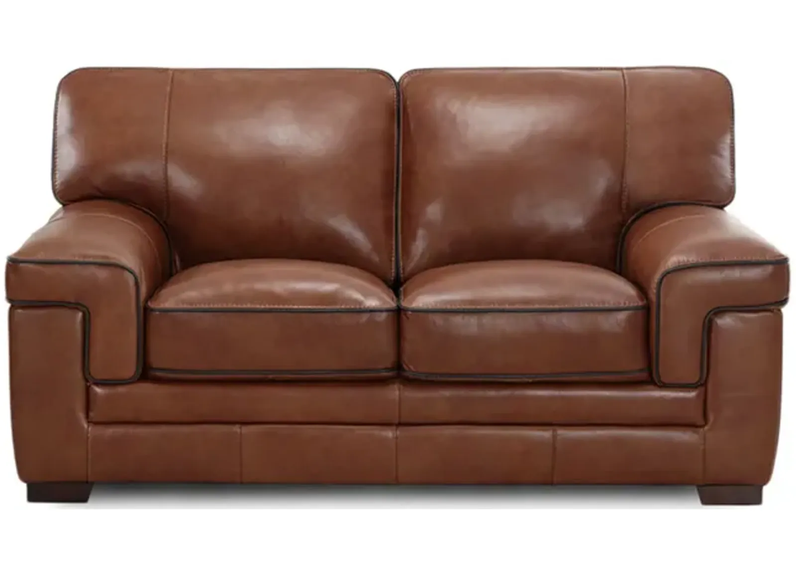 Bauer Leather Loveseat