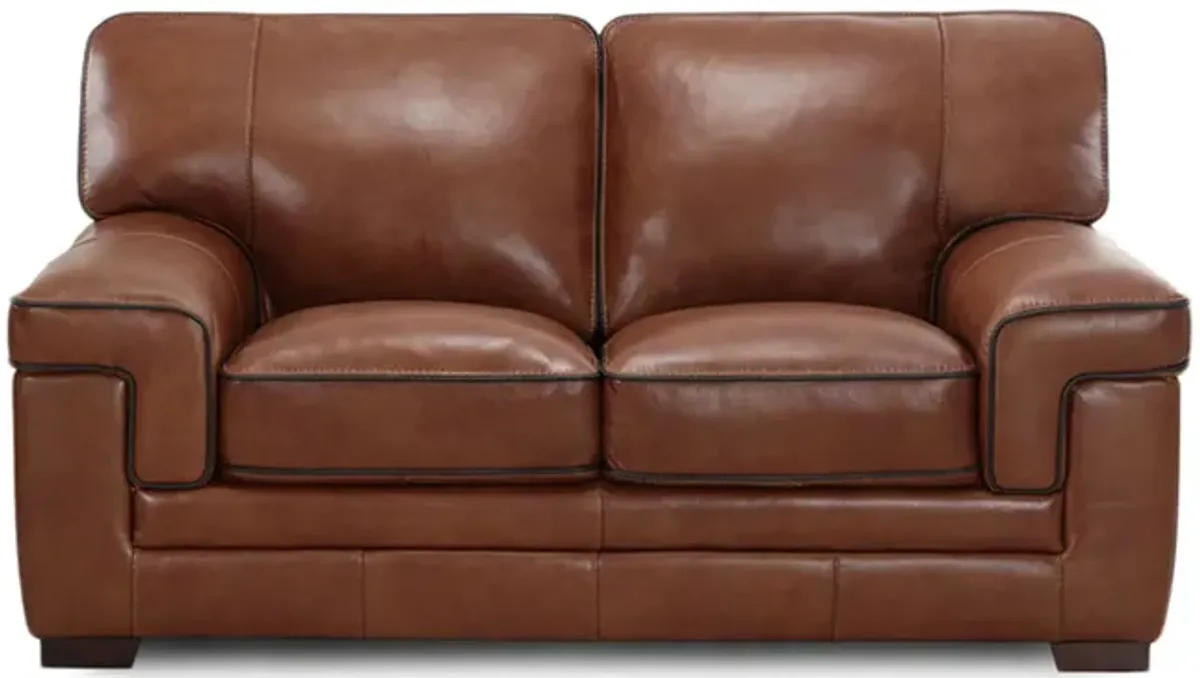 Bauer Leather Loveseat