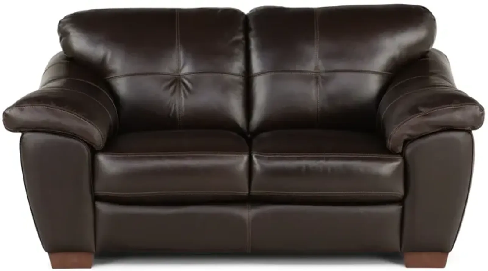 Phoenix Leather Loveseat