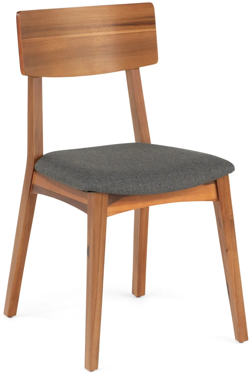 Tyler Modern Wood Back Dining Chair