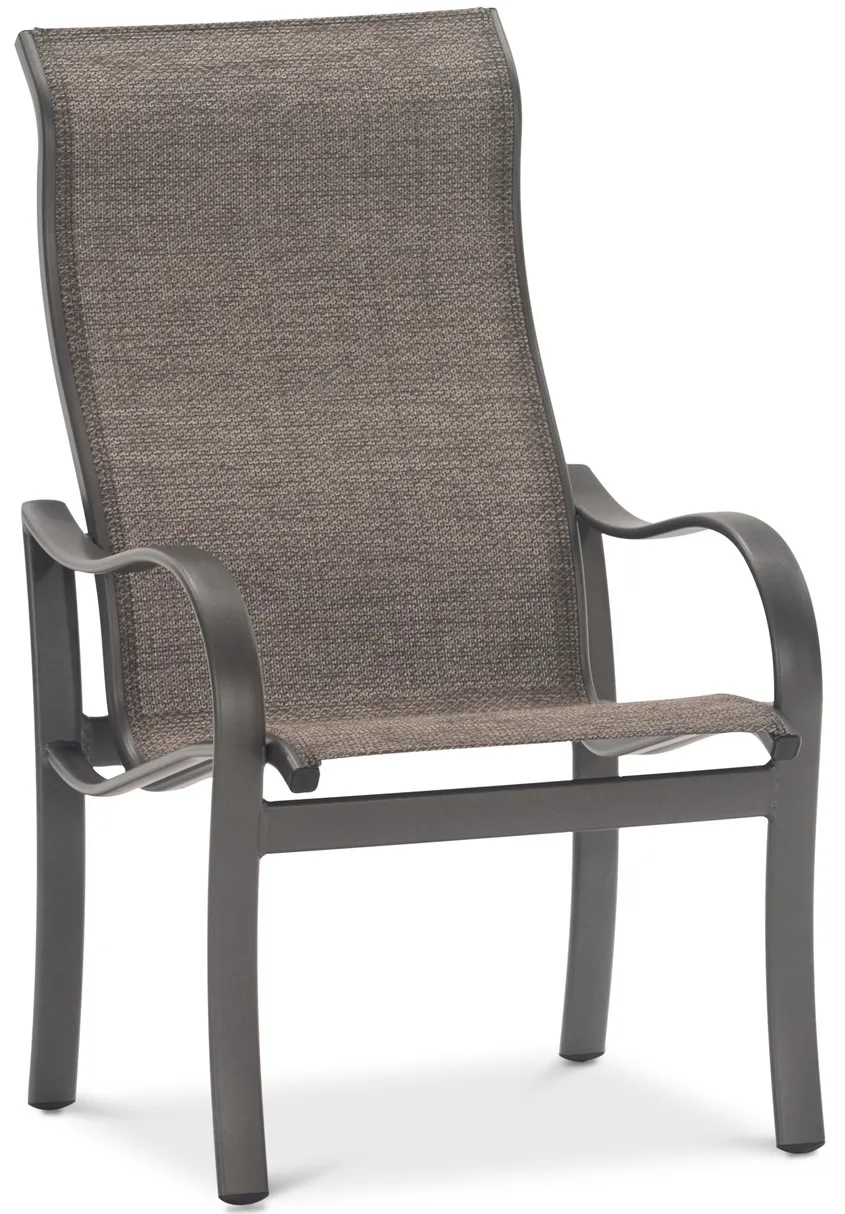 Shoreline Chair - Graphite