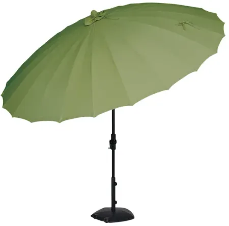 10  Shanghai Umbrella