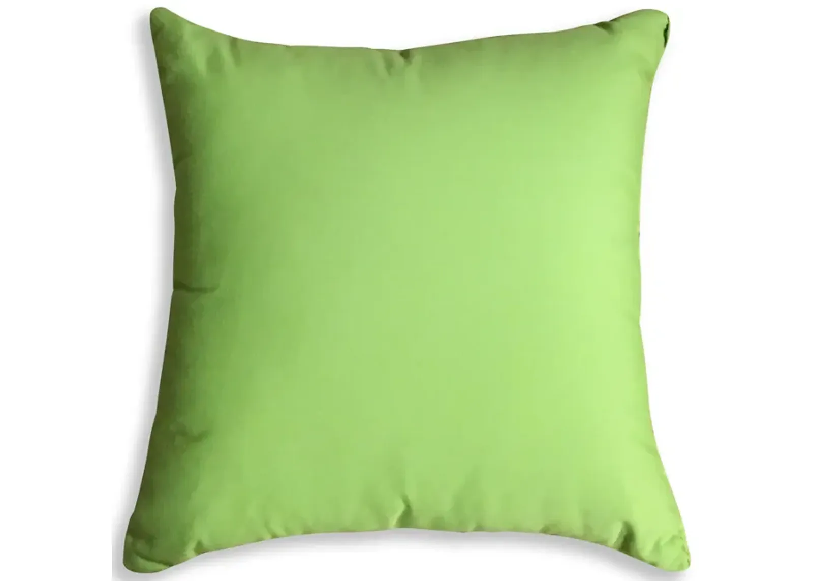 18  Outdoor Pillow - Canvas Ginko