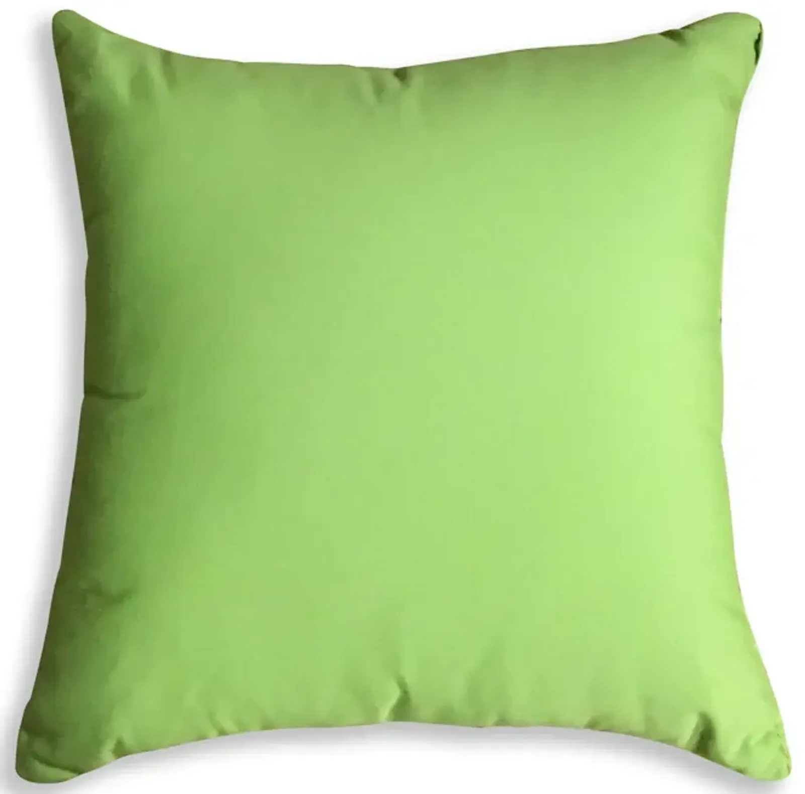 18  Outdoor Pillow - Canvas Ginko