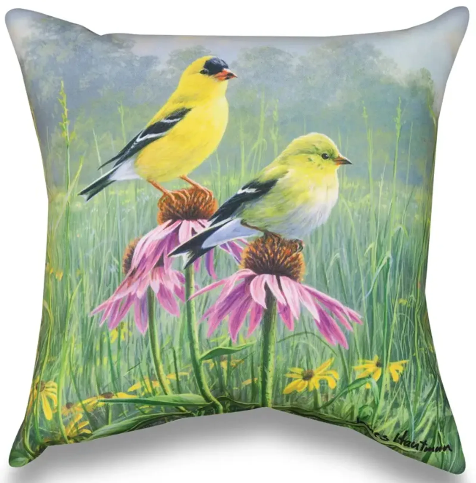 18  Yellow Finch Field Pillow