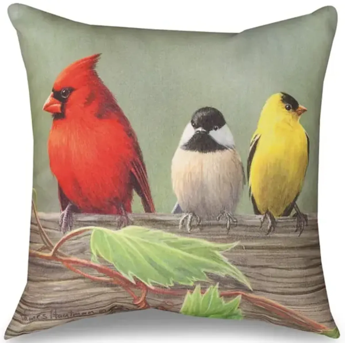 18  Birds On A Line Pillow