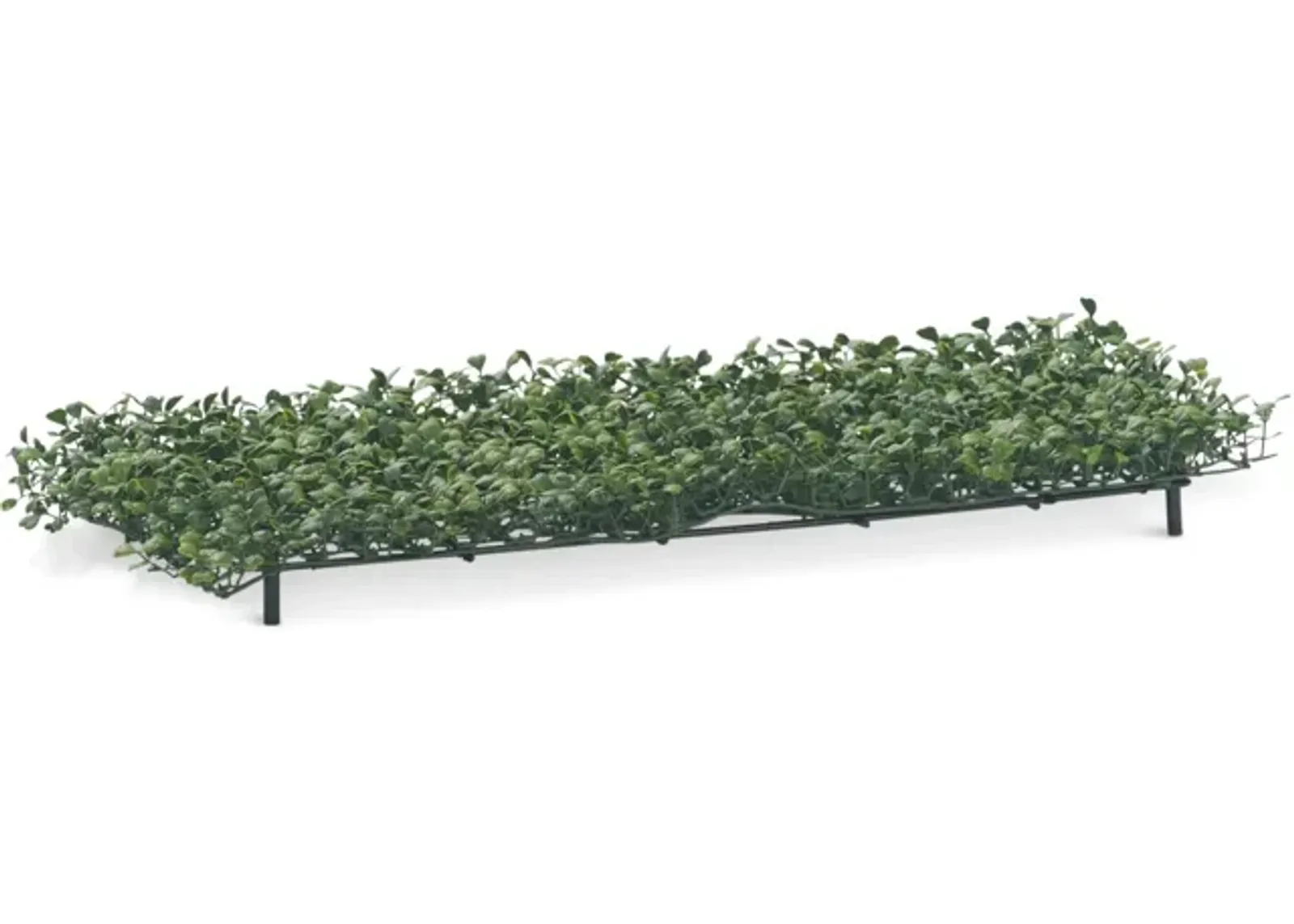 Boxwood Hedge Cover - 24 