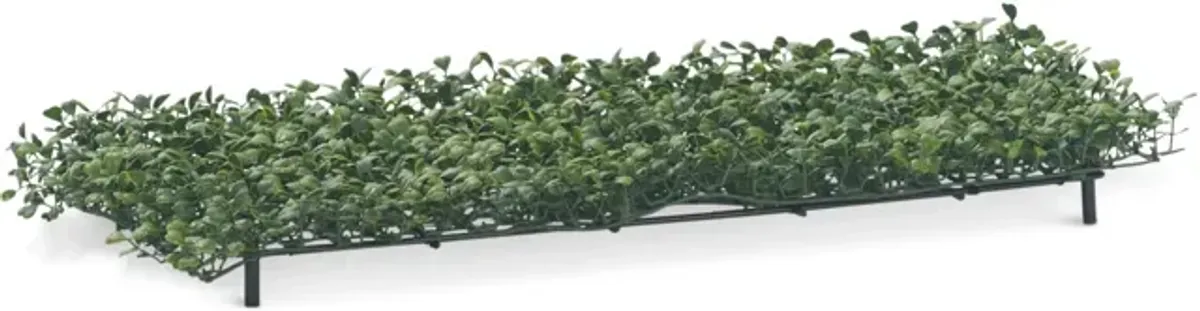 Boxwood Hedge Cover - 24 