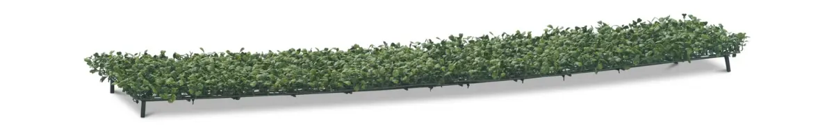 Boxwood Hedge Cover - 48 