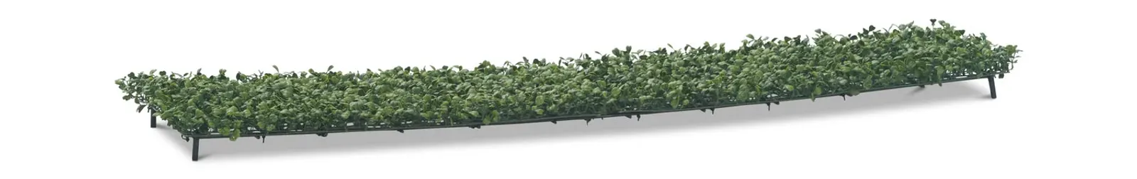 Boxwood Hedge Cover - 48 