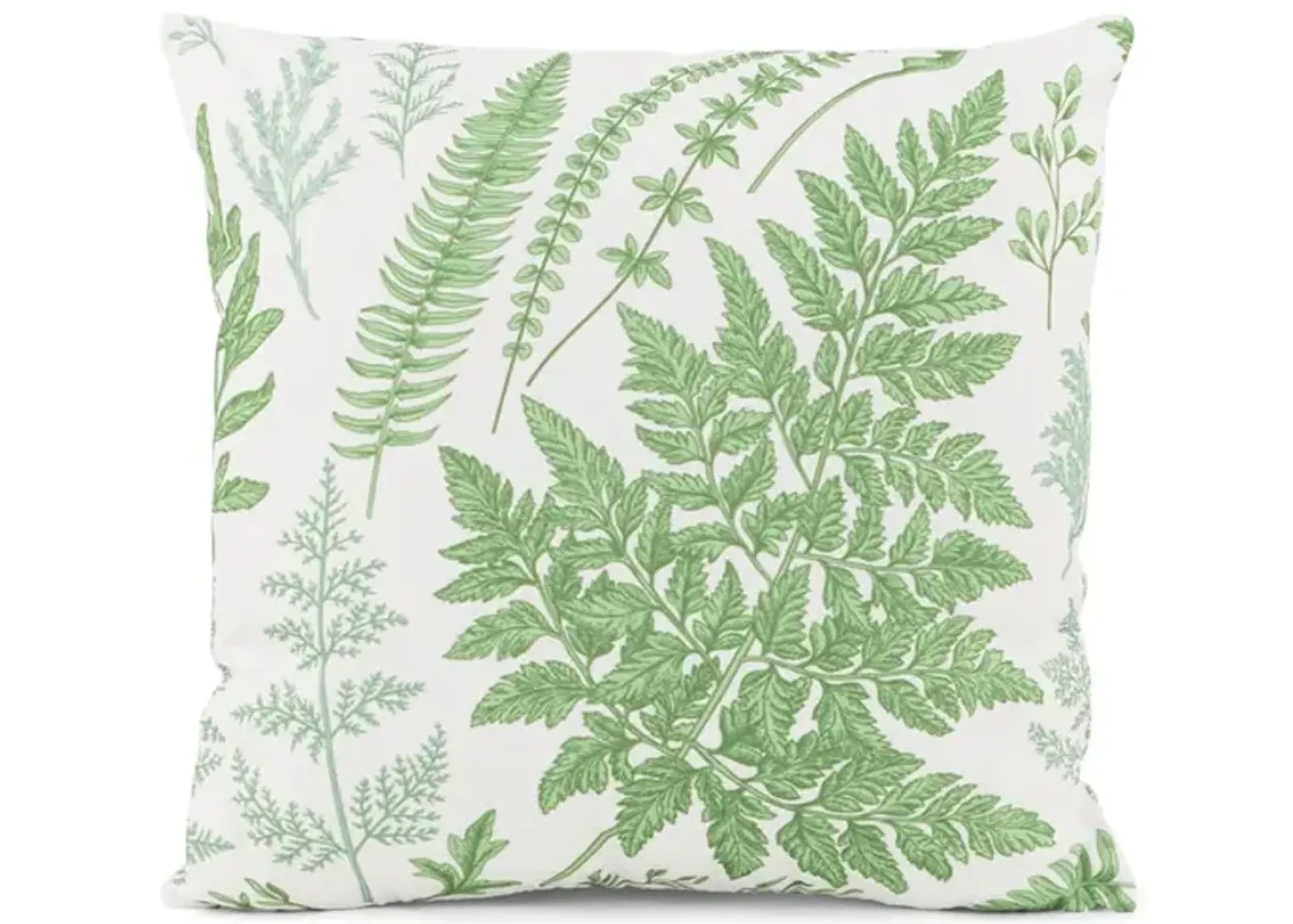 18  Fern Pillow