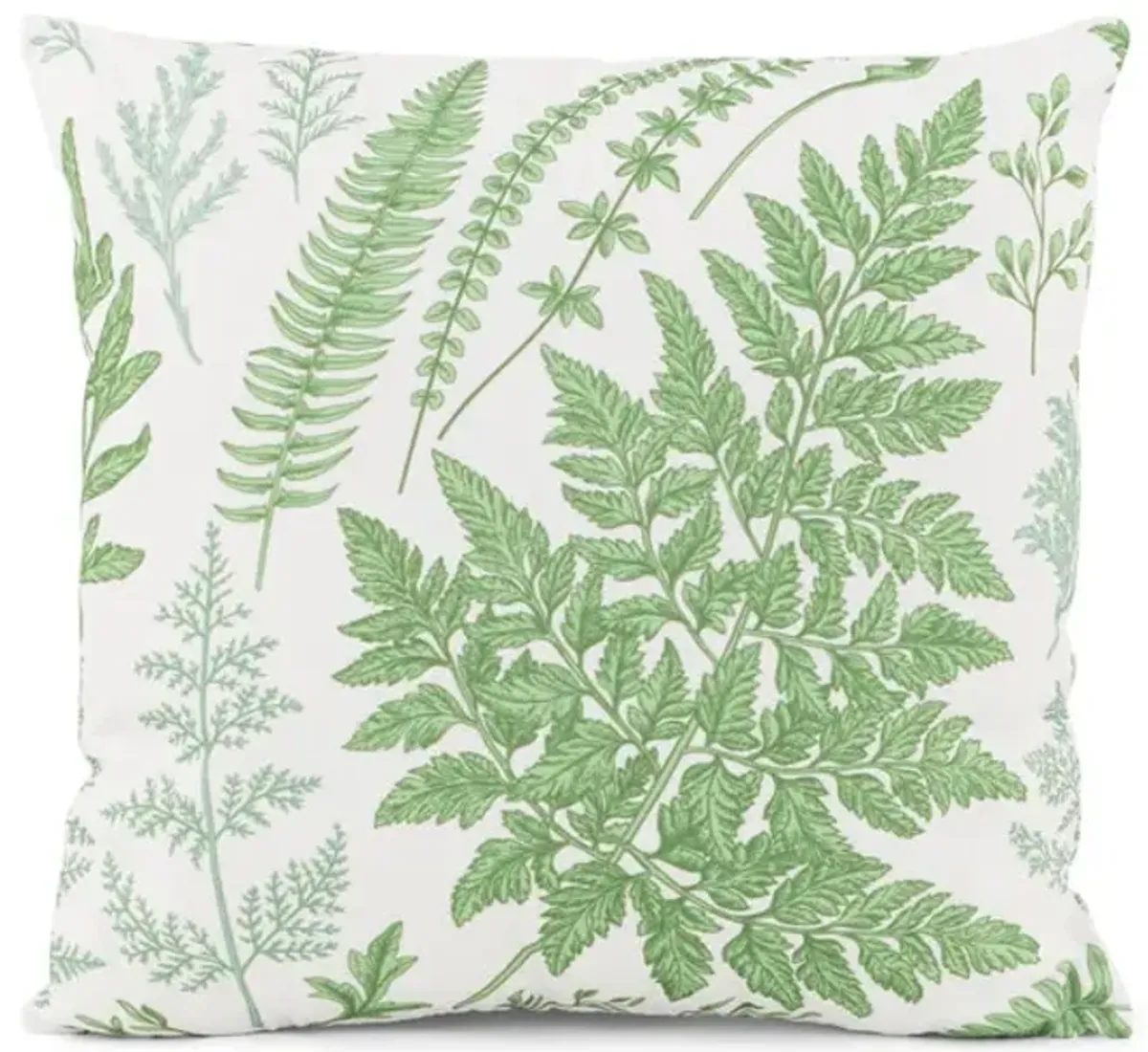 18  Fern Pillow