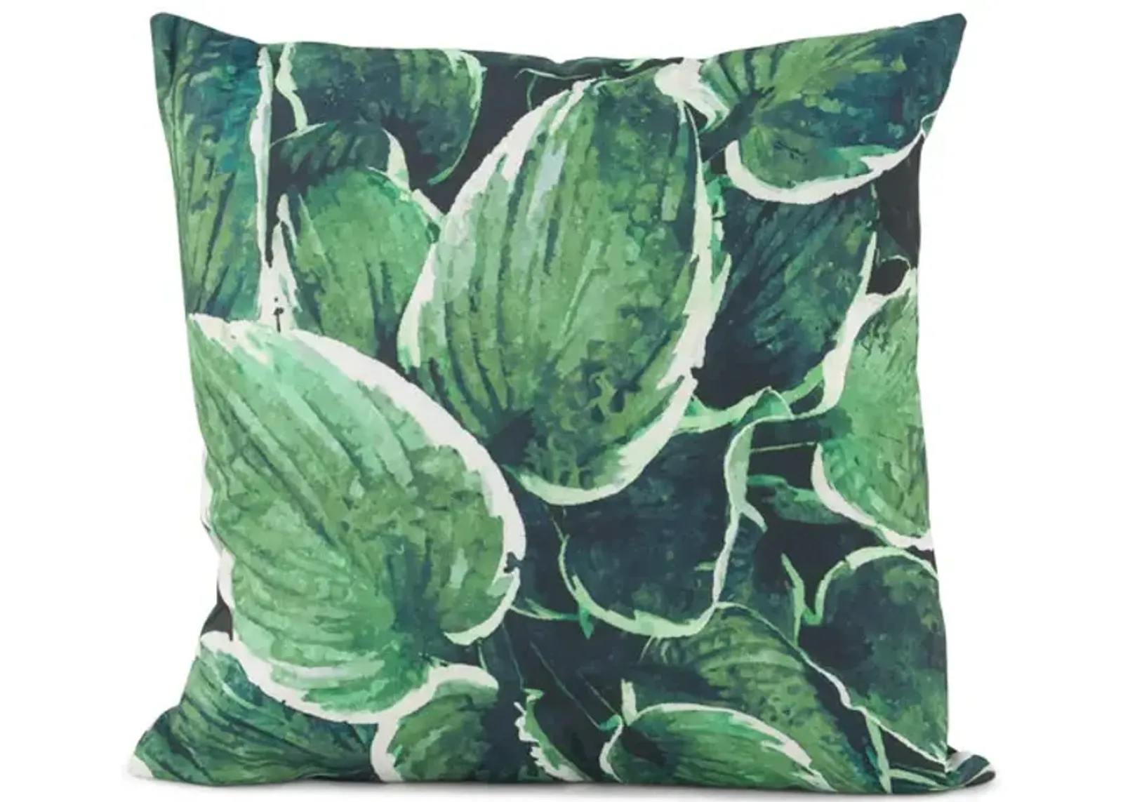 Hosta Pillow