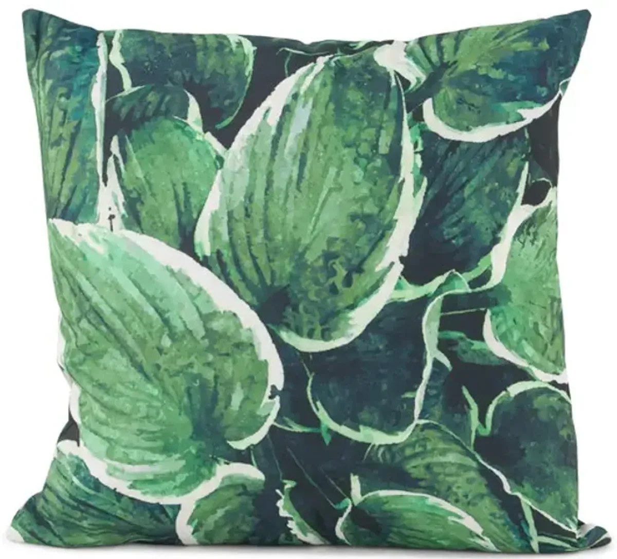 Hosta Pillow