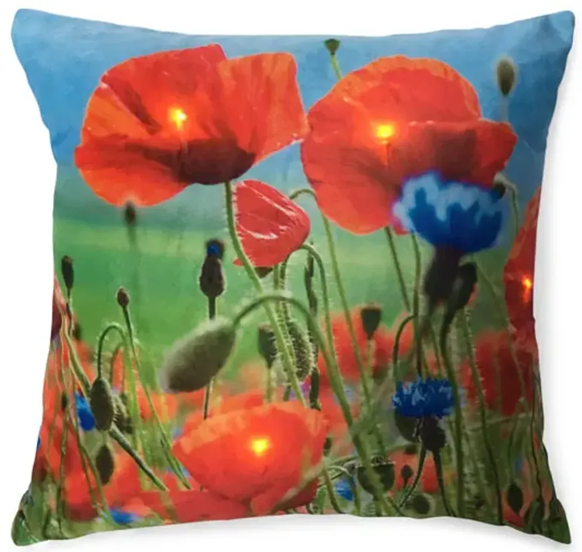 18  Red Poppy Pillow