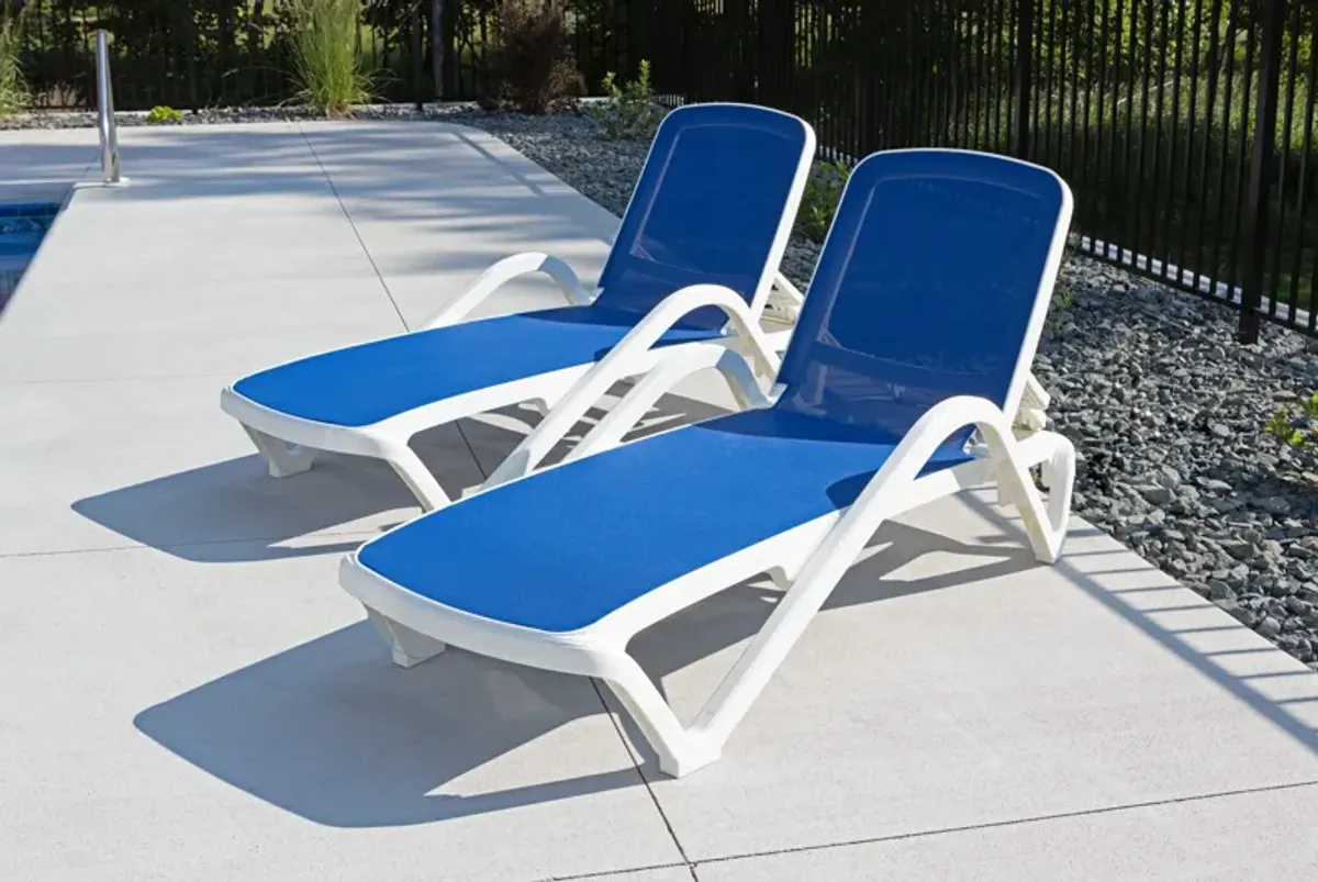 Poolside Chaise Lounge - Blue