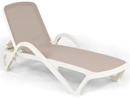 Poolside Chaise Lounge - Grey