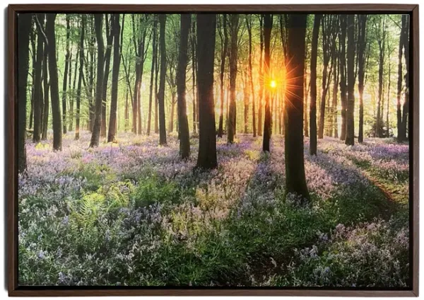 Forest Glow Framed Canvas Art 