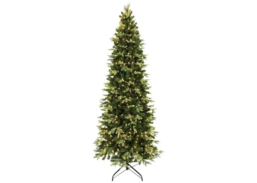 Tacoma Pine 7.5  Slim Artificial Christmas Tree With 500 Warm White LED Lights