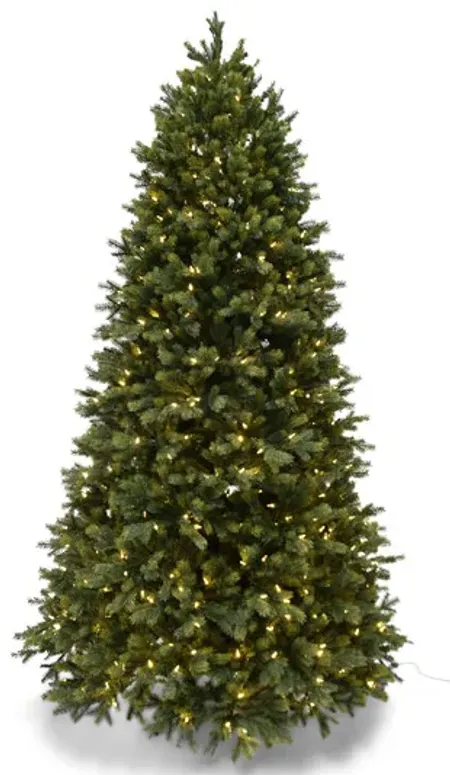 Highland Fir II 10  Artificial Tree With 900 LED Lights