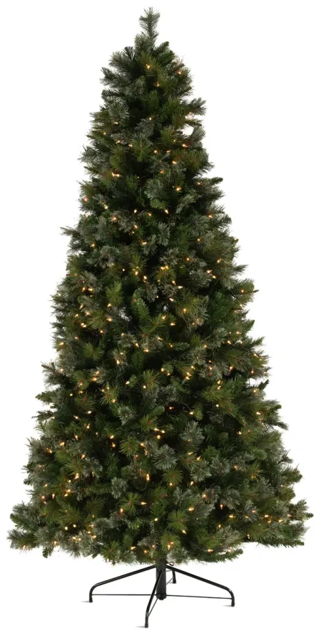 Northland Pine 7.5  Artificial Christmas Tree with Clear Lights