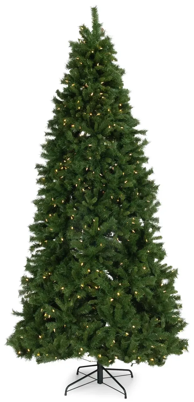 Watervile Pine 9  Artificial Christmas Tree With Warm White LED Lights