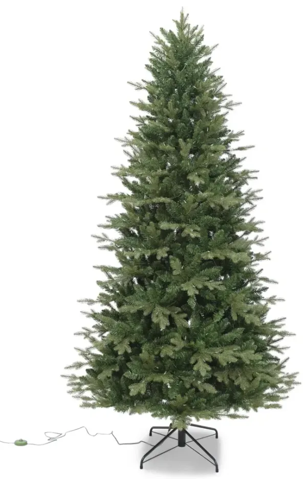 Frasier Fir 7.5  Artificial Christmas Tree With 500 Warm White LED Lights