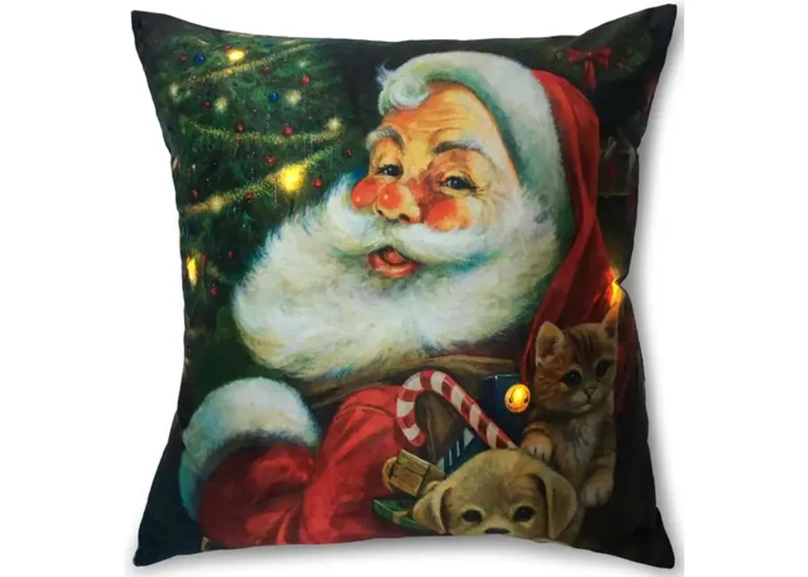 18  Santa Pillow