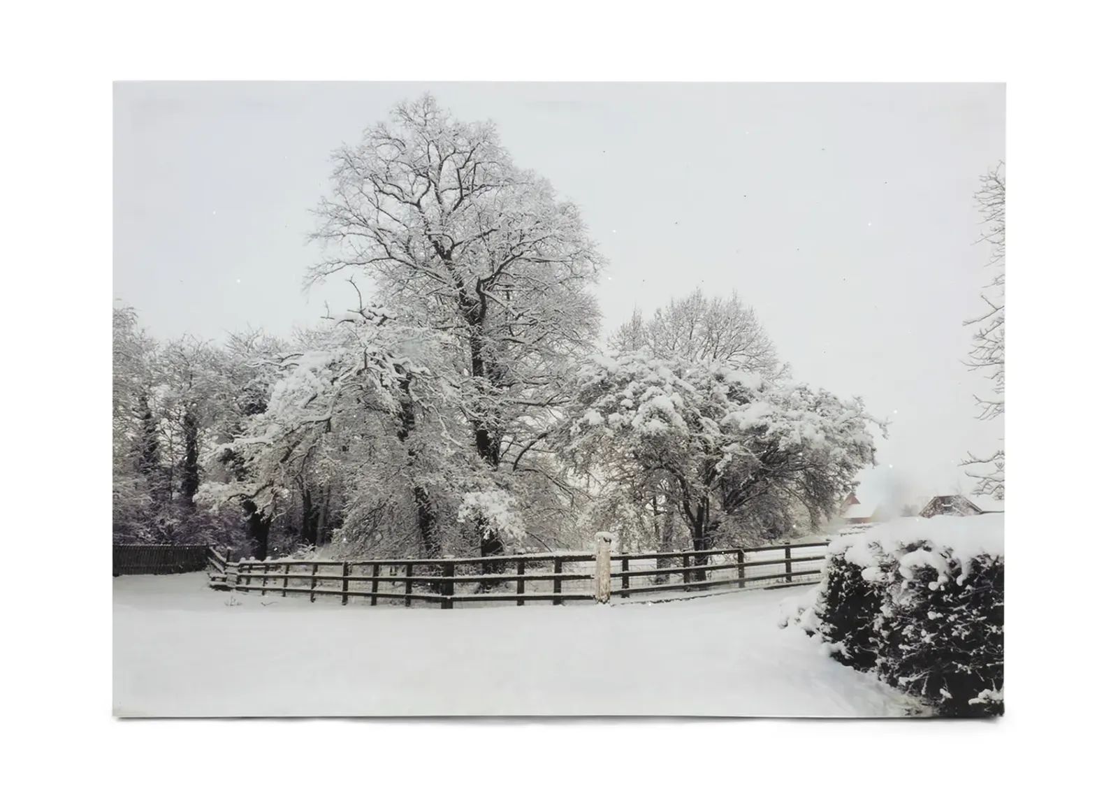 Fresh Snow Canvas Art