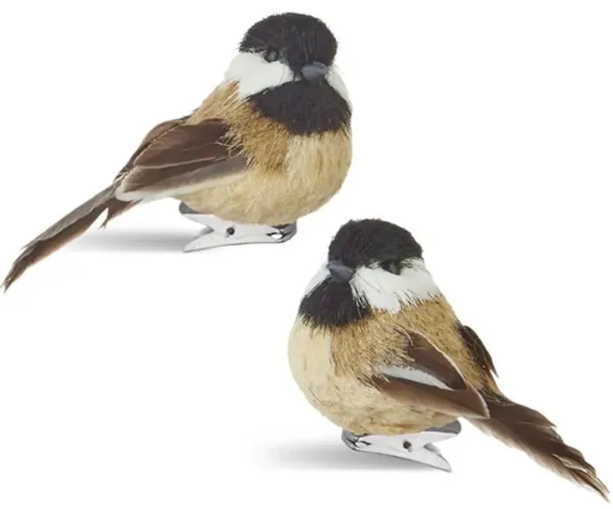 Assorted Clip On Bird Ornaments