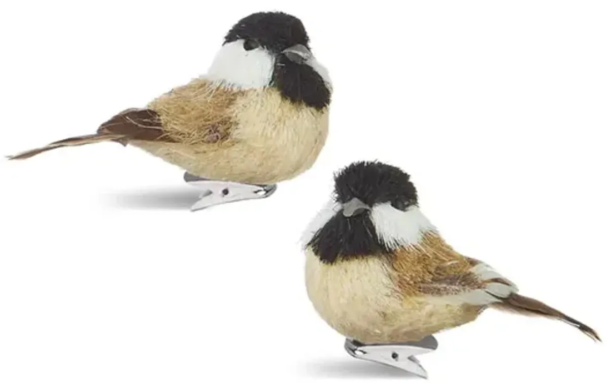 Assorted 3  Clip On Bird Ornaments