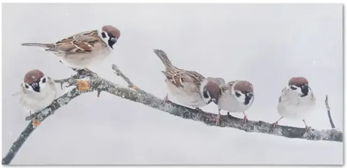 Winter Birds LED Canvas Art