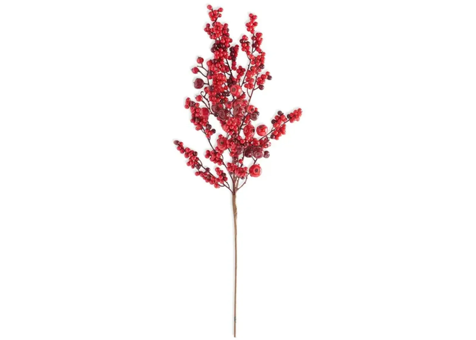 Rosehip Red Berry Stem