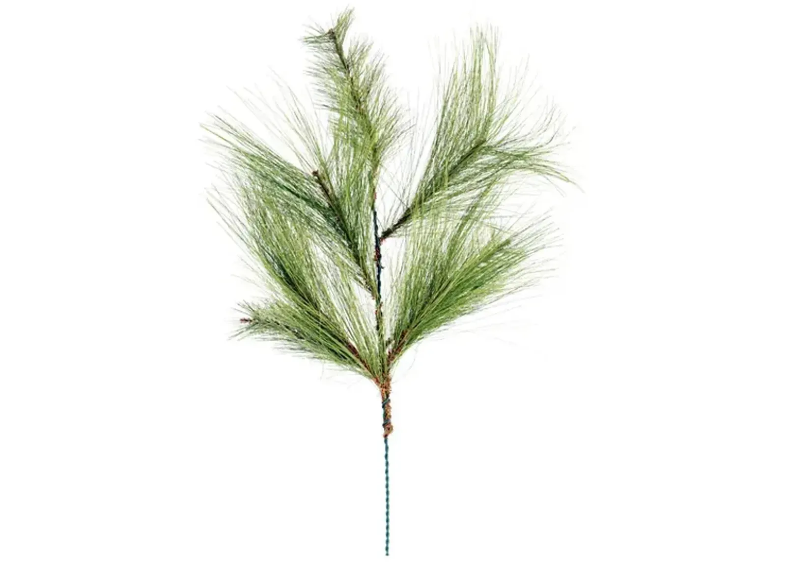 30  Needle Pine Pick