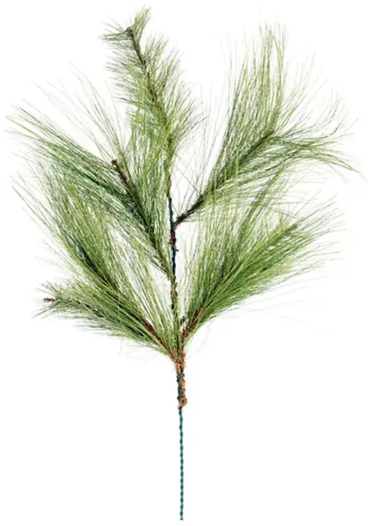 30  Needle Pine Pick