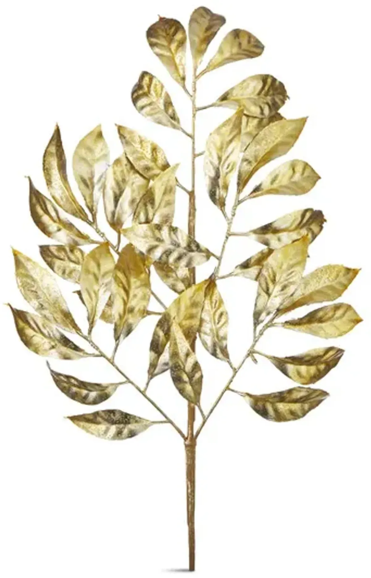 Laurel Leaf