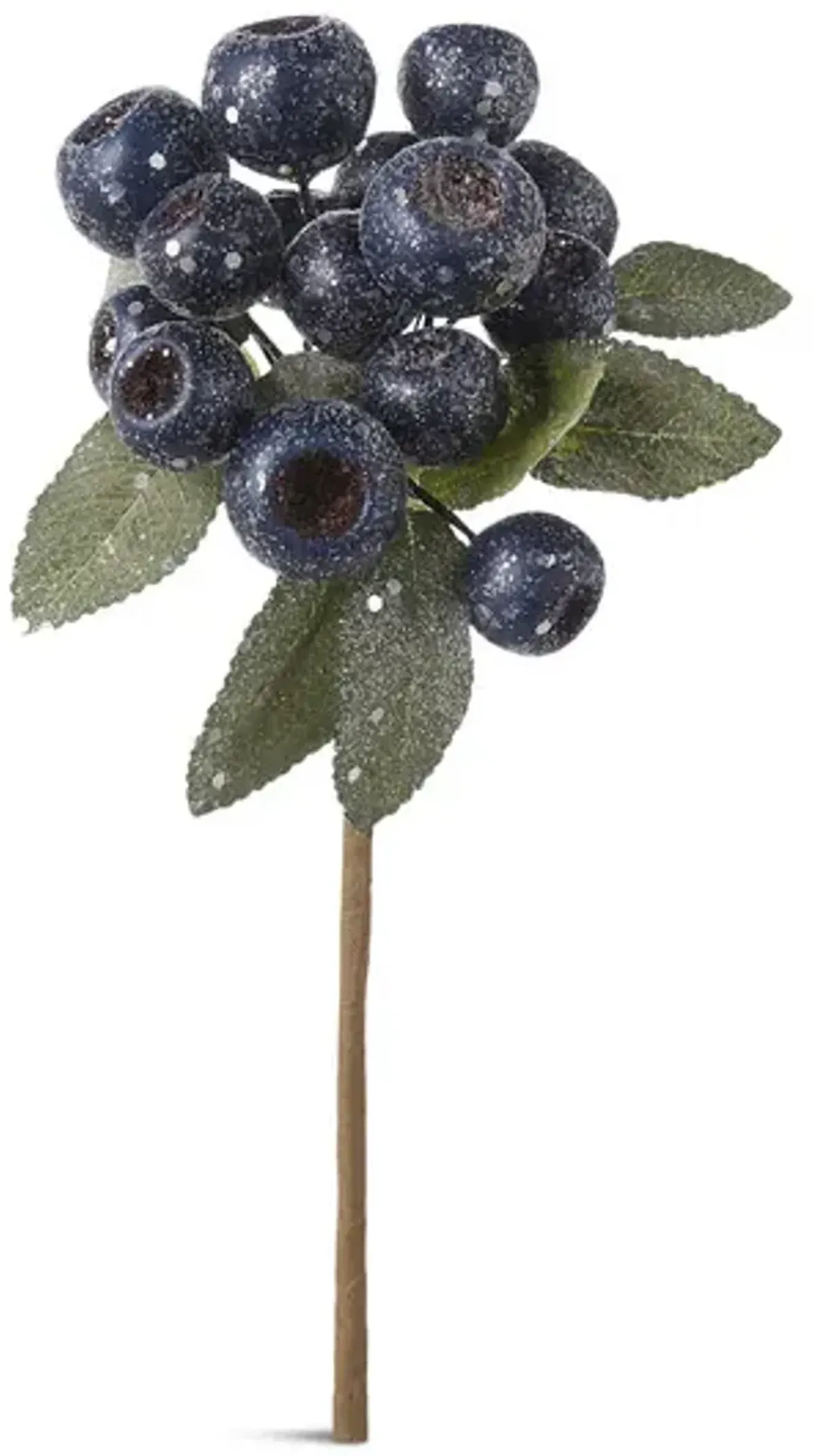 Blue Berry Cluster Stem