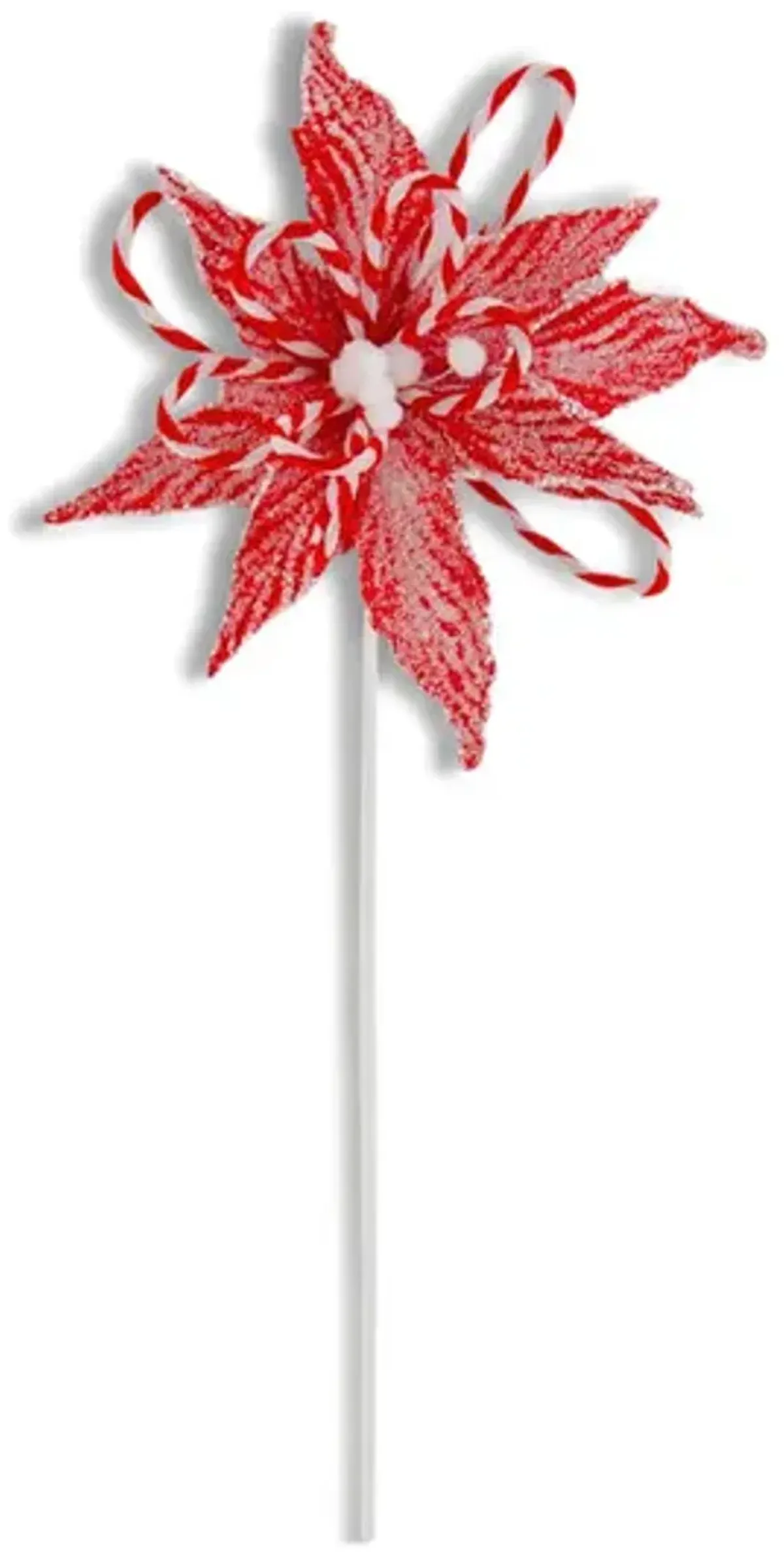Poinsettia