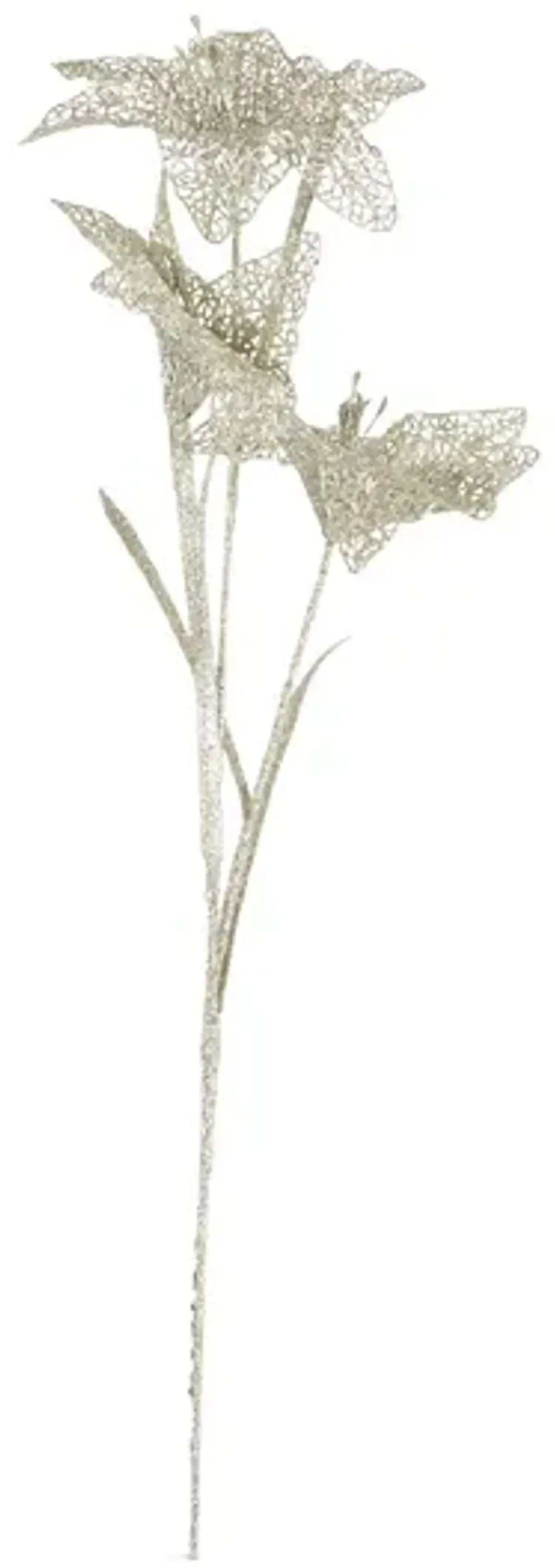 Lace Lily Stem