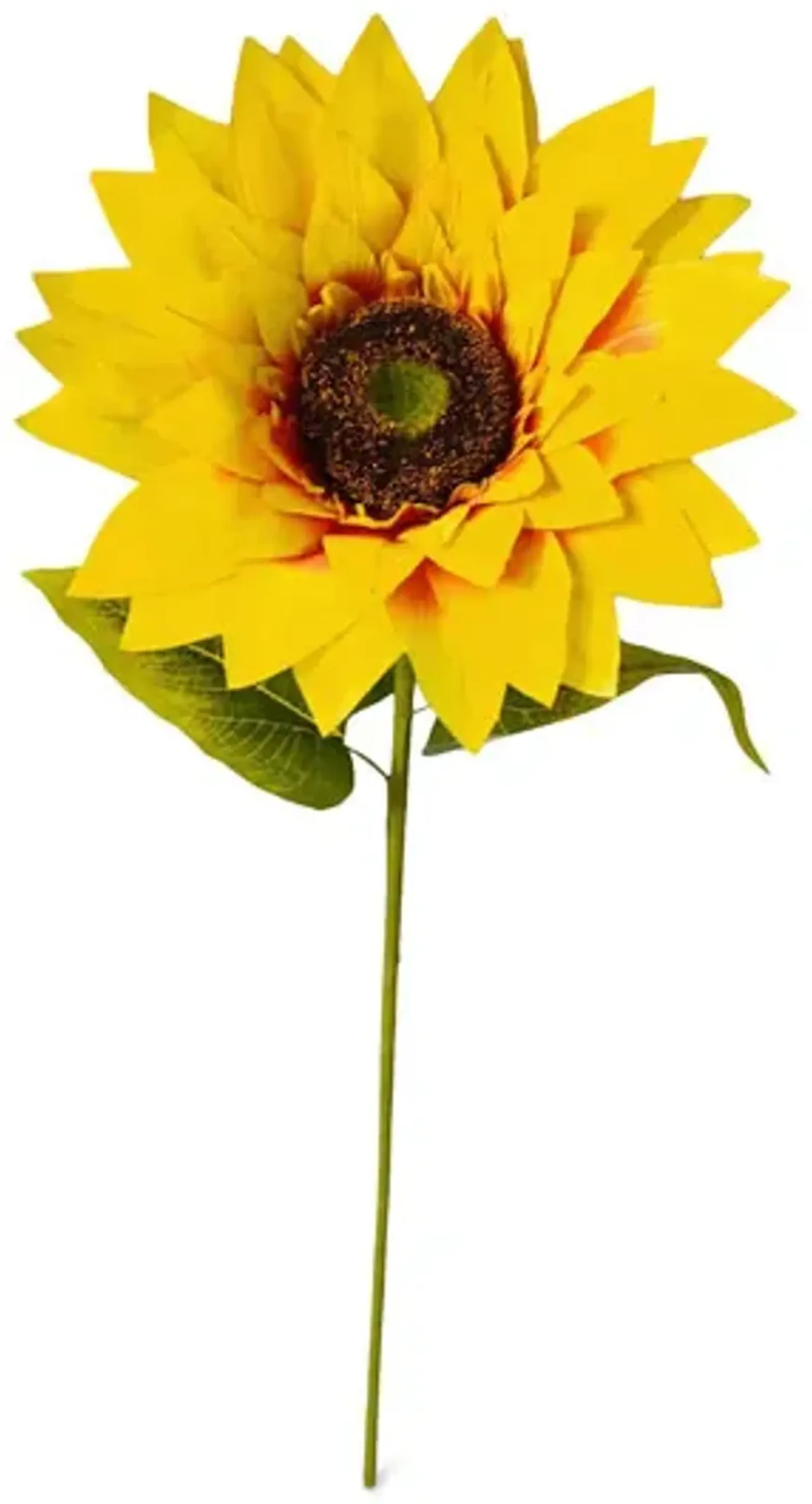 Sunflower Stem