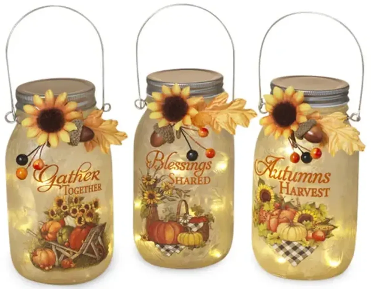 Assorted Luminary Mason Jars