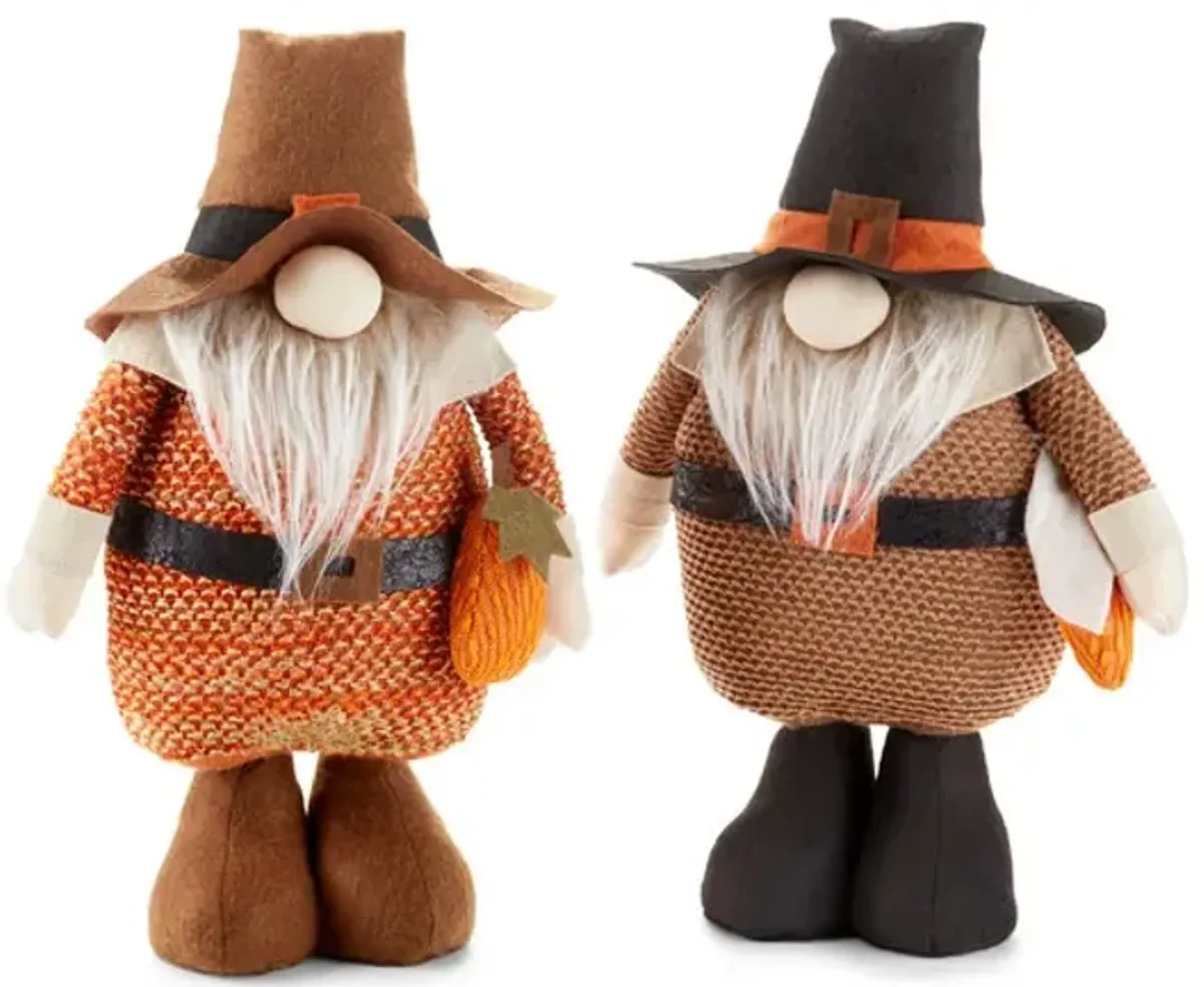 Assorted Pilgrim Gnomes