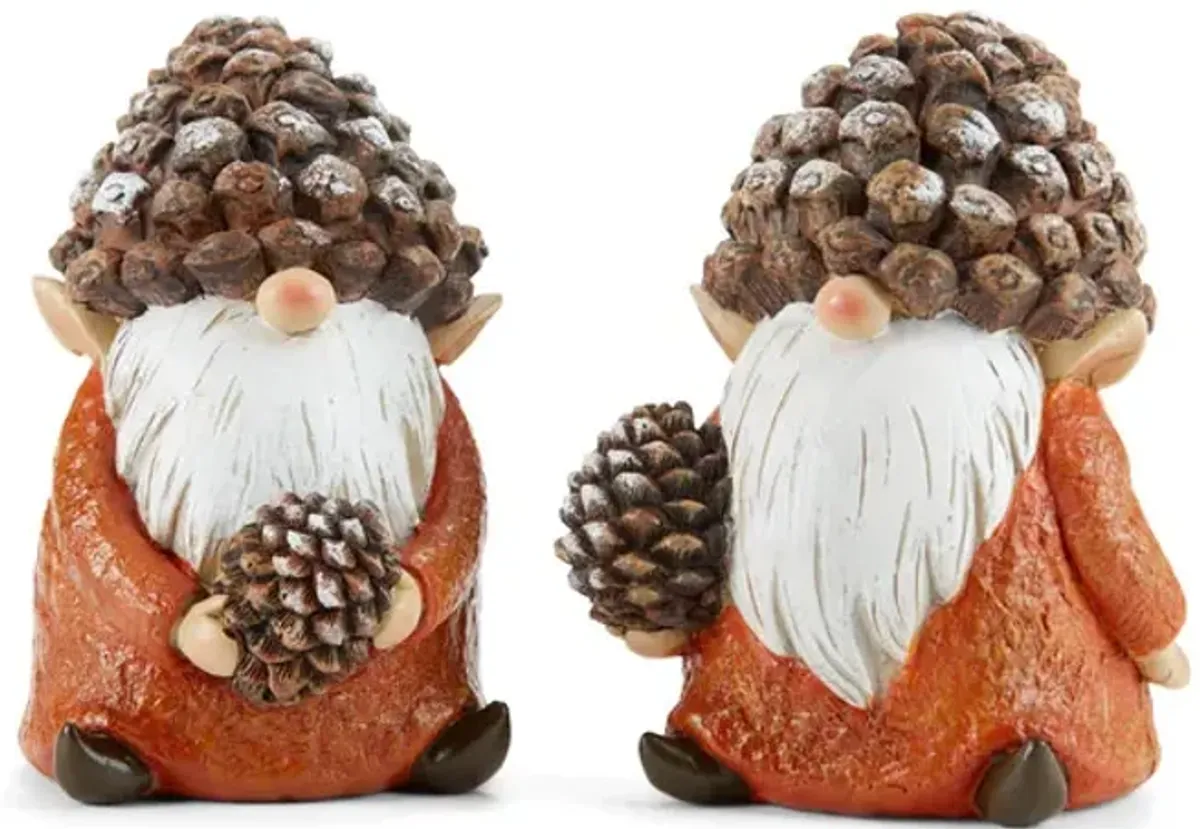 Assorted Gnomes With Pinecone Hats