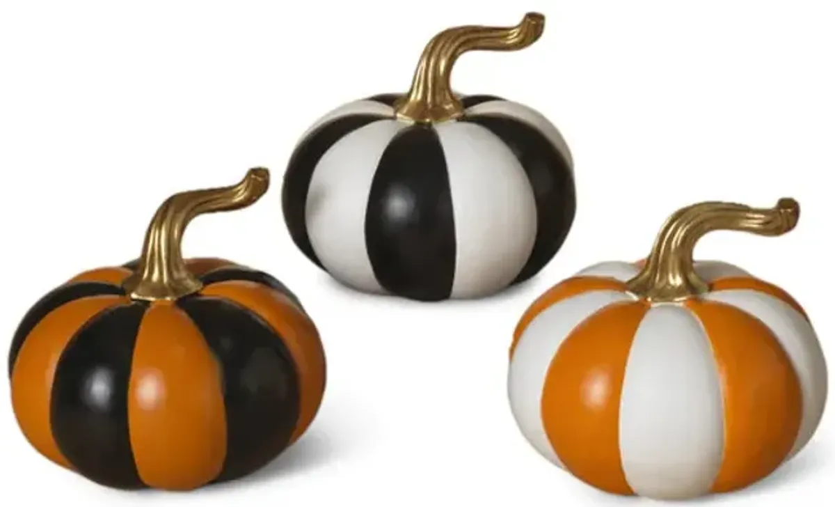 Assorted Striped Pumpkin