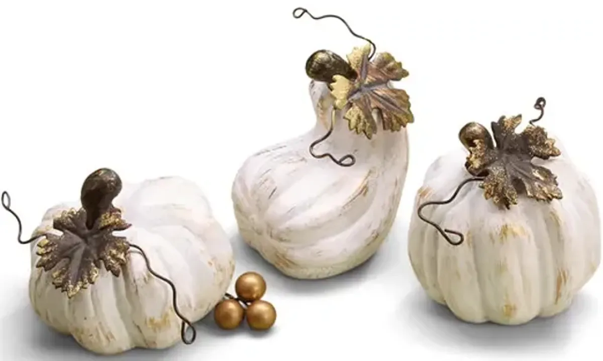 Assorted White Pumpkins