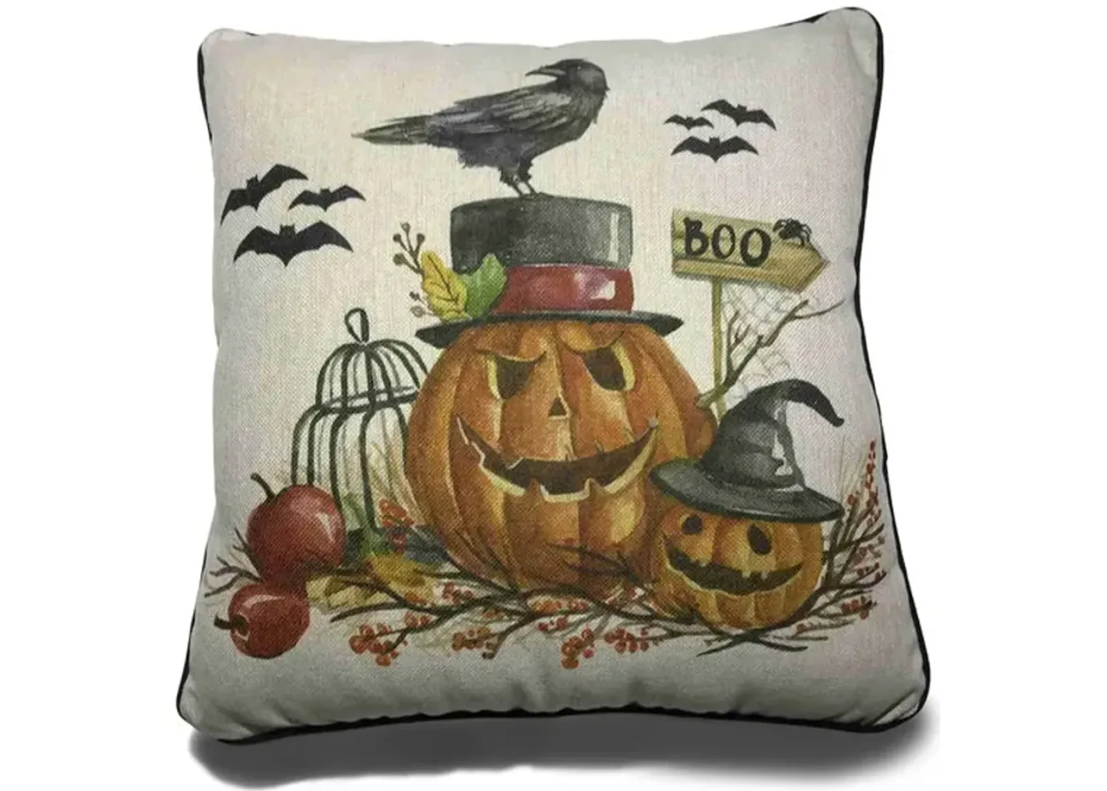 18  Pumpkin With Crow Pillow