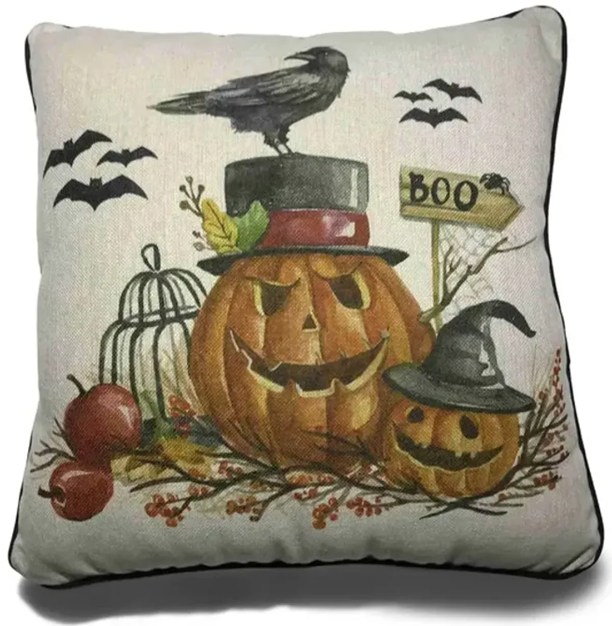 18  Pumpkin With Crow Pillow