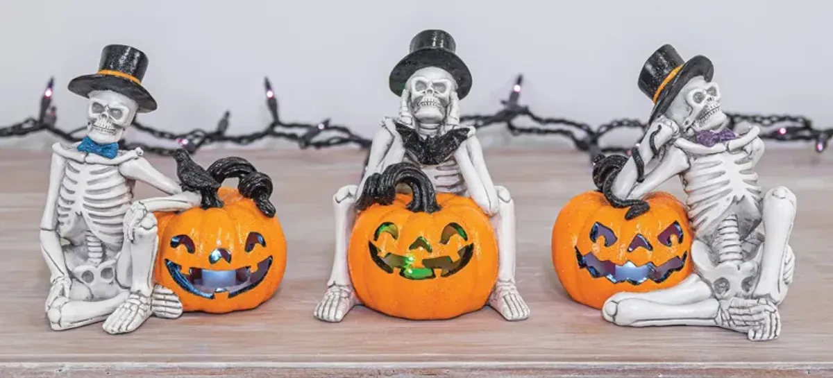 Assorted Lazy Bones Lanterns